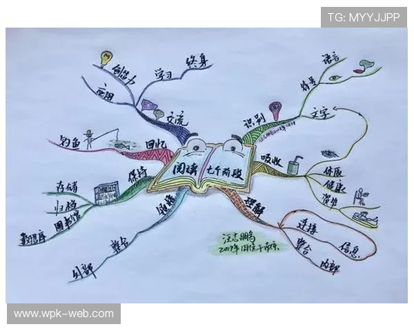 色碟的多样选择与鉴赏指南，提升你的视觉体验
