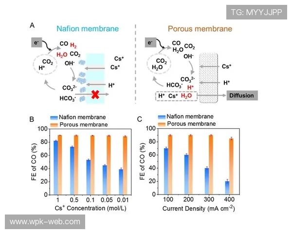 肯博国际全球化布局实现资源的最大化整合与利用